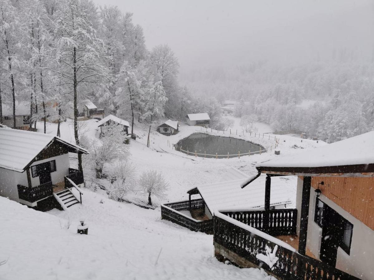 Satu Muscelean Hotel Albestii de Muscel Exterior foto