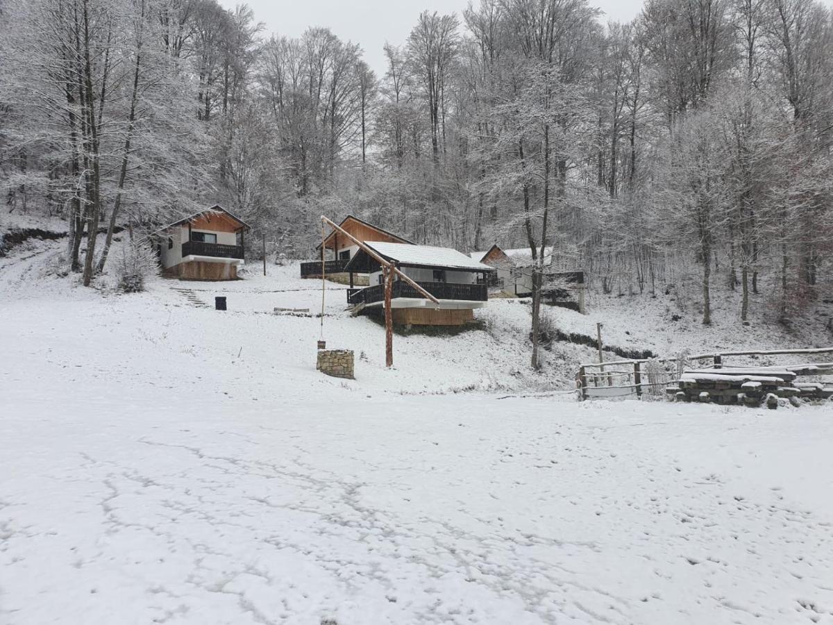 Satu Muscelean Hotel Albestii de Muscel Exterior foto